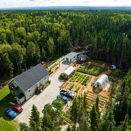 Upper Humber Settlement A Farmstay B&B Cormack Εξωτερικό φωτογραφία