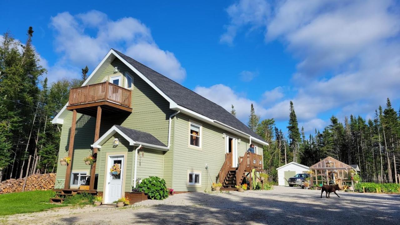 Upper Humber Settlement A Farmstay B&B Cormack Εξωτερικό φωτογραφία