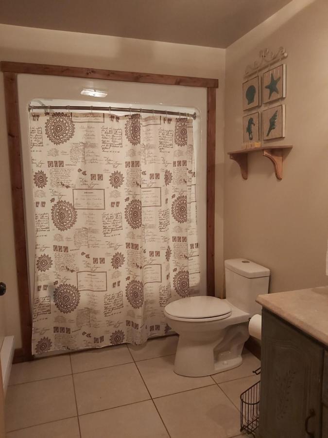 Upper Humber Settlement A Farmstay B&B Cormack Εξωτερικό φωτογραφία