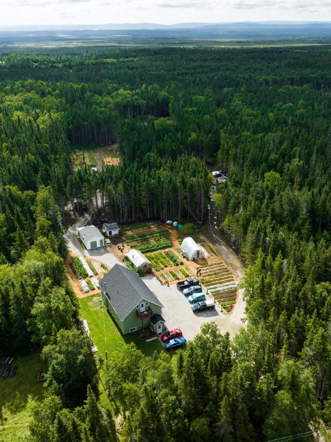 Upper Humber Settlement A Farmstay B&B Cormack Εξωτερικό φωτογραφία