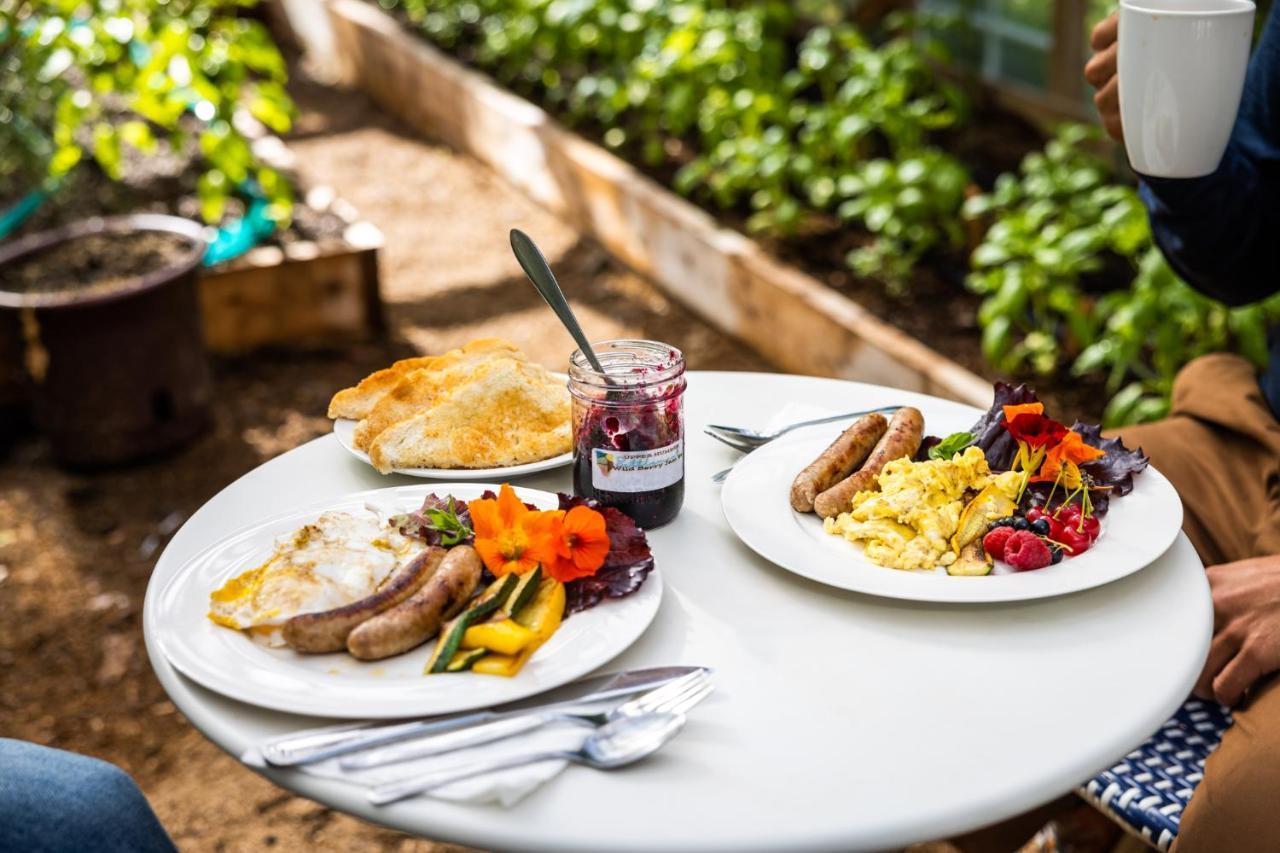 Upper Humber Settlement A Farmstay B&B Cormack Εξωτερικό φωτογραφία