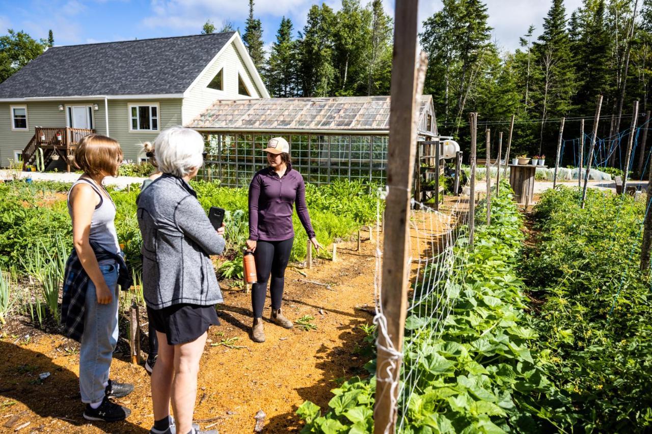 Upper Humber Settlement A Farmstay B&B Cormack Εξωτερικό φωτογραφία