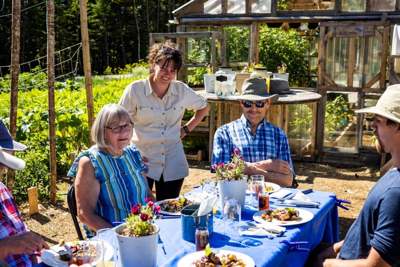 Upper Humber Settlement A Farmstay B&B Cormack Εξωτερικό φωτογραφία