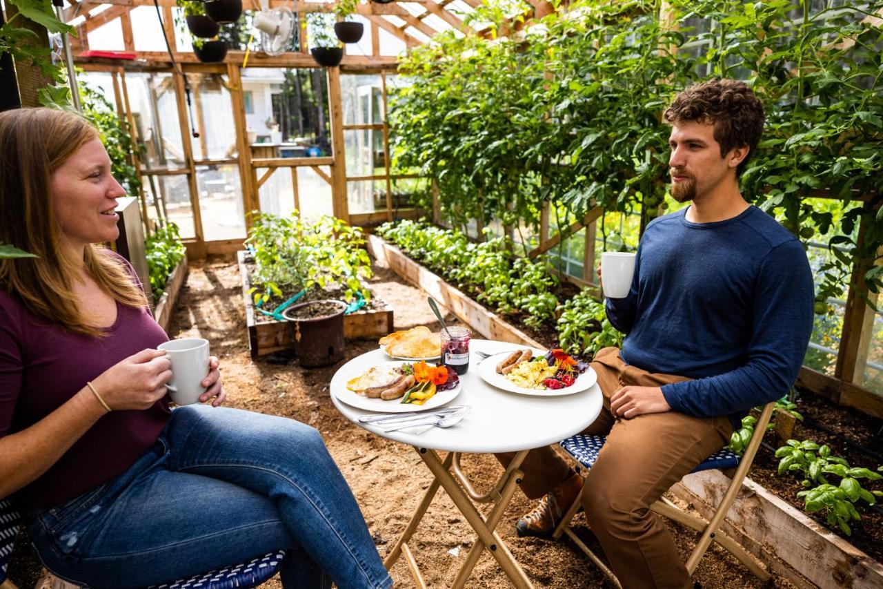 Upper Humber Settlement A Farmstay B&B Cormack Εξωτερικό φωτογραφία